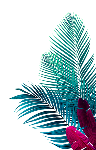 Palmtree.png